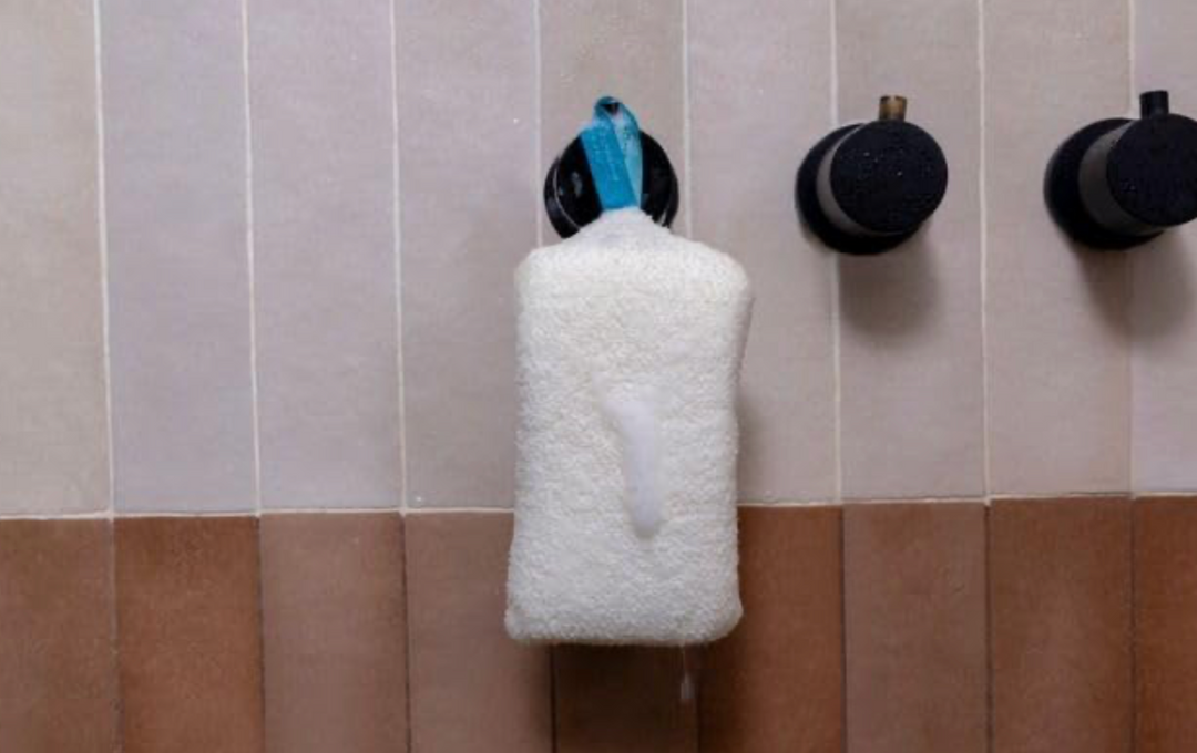 Daily Body Scrubber